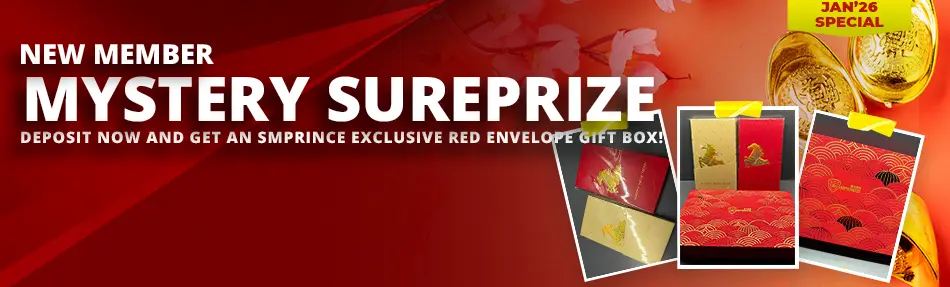 MYSTERY SUREPRIZE